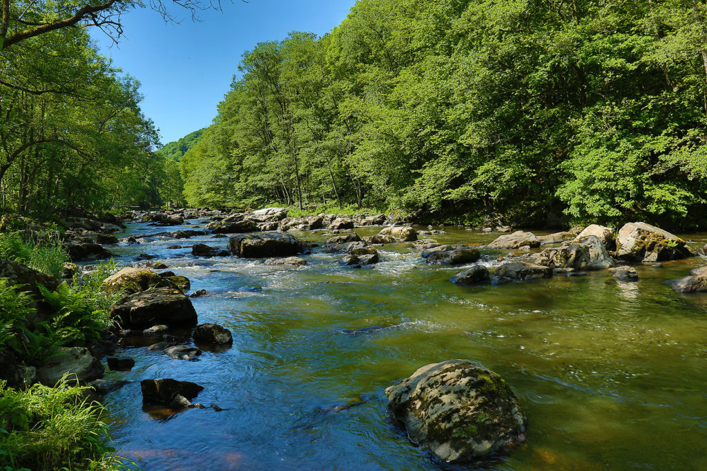 water walks 