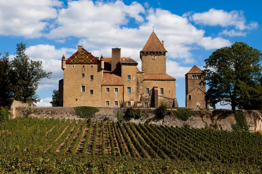 Château de Pierreclos - Things to do in Mâcon