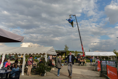 Blauwe Bessen - Blueberries Farm in Belgium