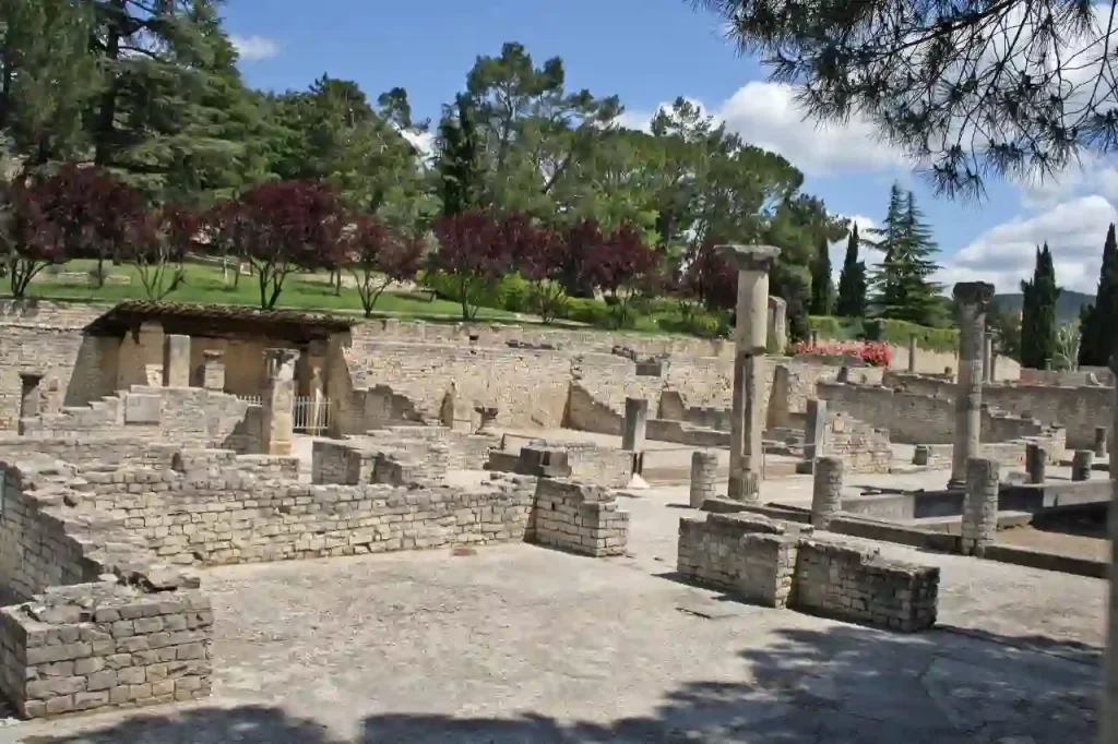 Puymin Roman Site - Things to do in Vaison-la-Romaine
